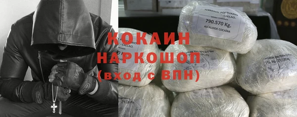 молекула духа Горно-Алтайск
