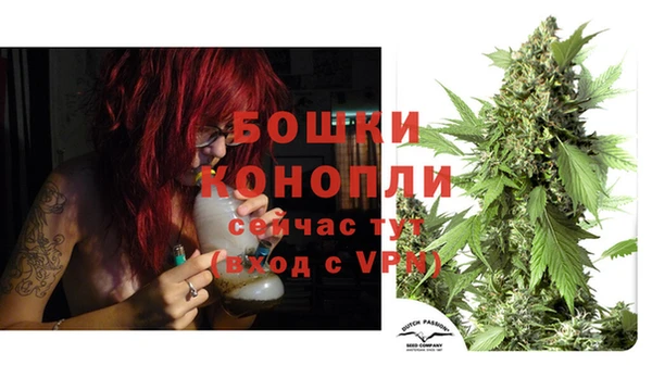 ГАЛЛЮЦИНОГЕННЫЕ ГРИБЫ Горнозаводск